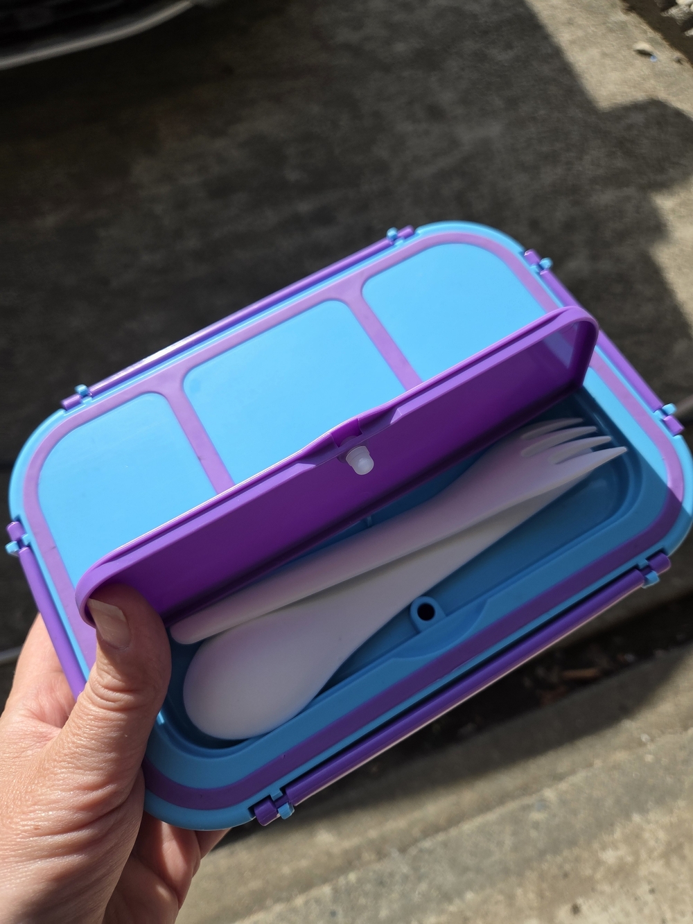 Blue & Purple Bento Lunch Box with Utensils